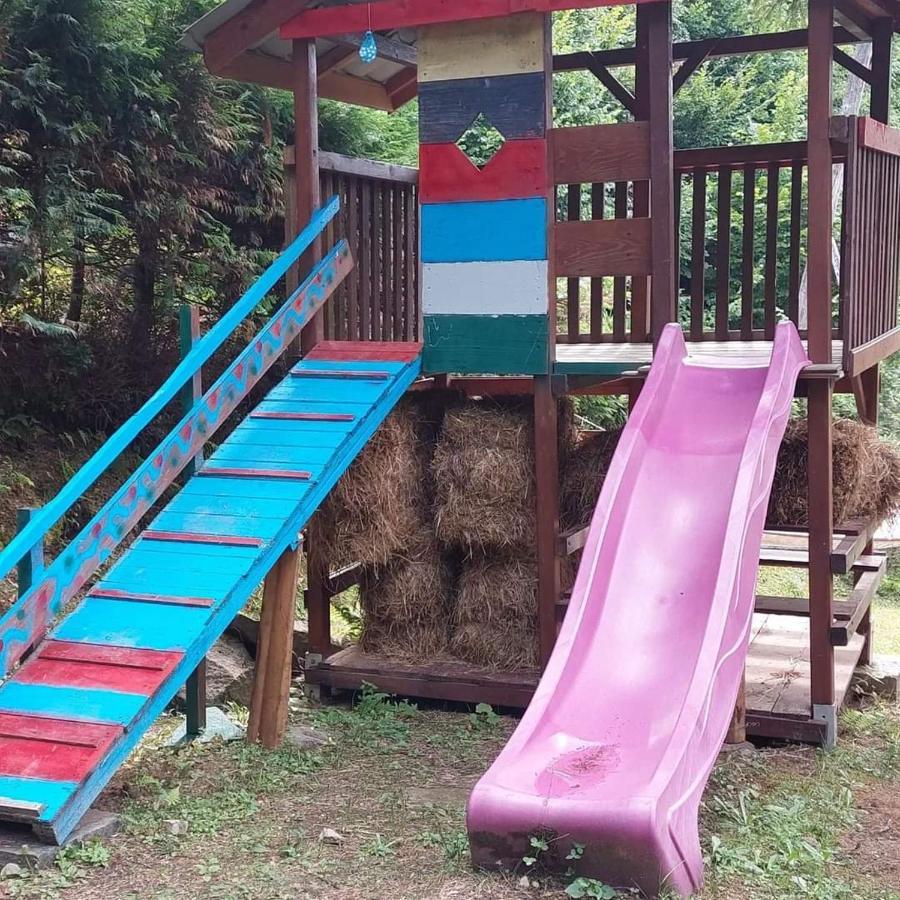 Kalmul Naturii, Iuresul Padurii Firiza Luaran gambar